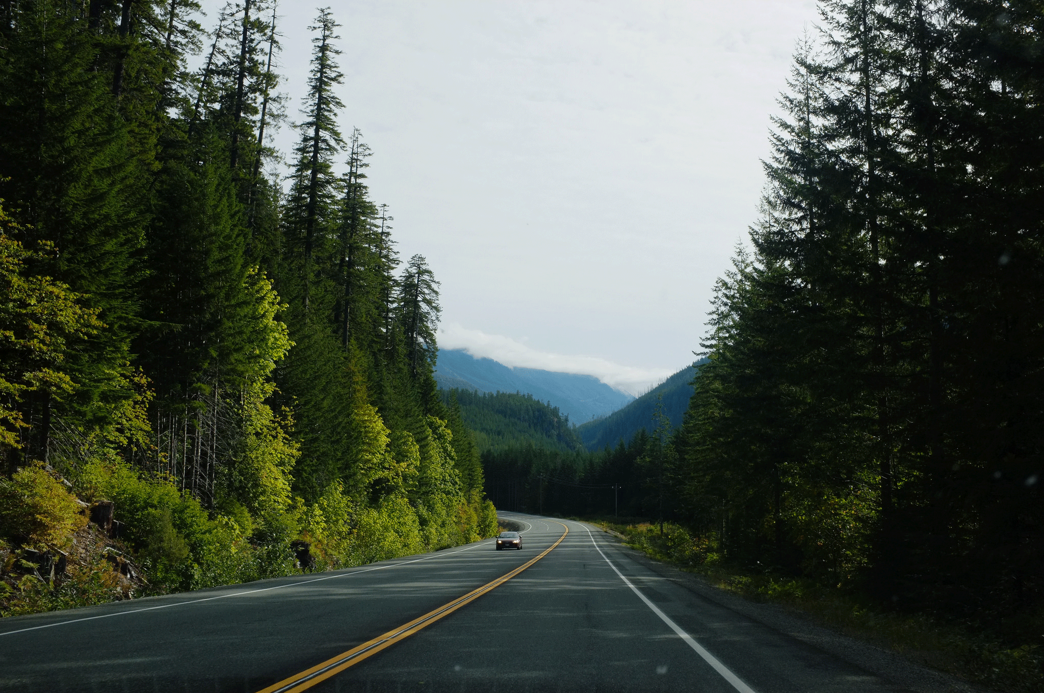 5 Scenic Drives To Explore On Vancouver Island Clipper Vacations Magazine