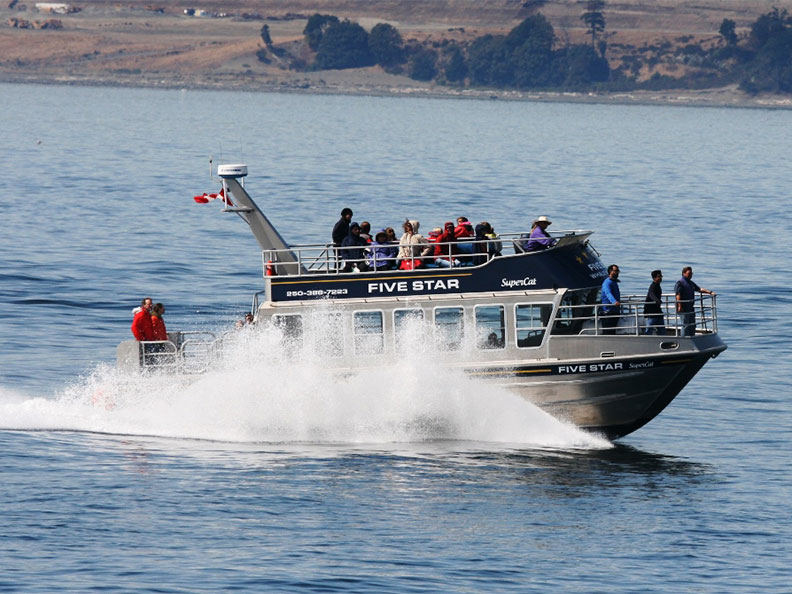 Victoria Whale Watching