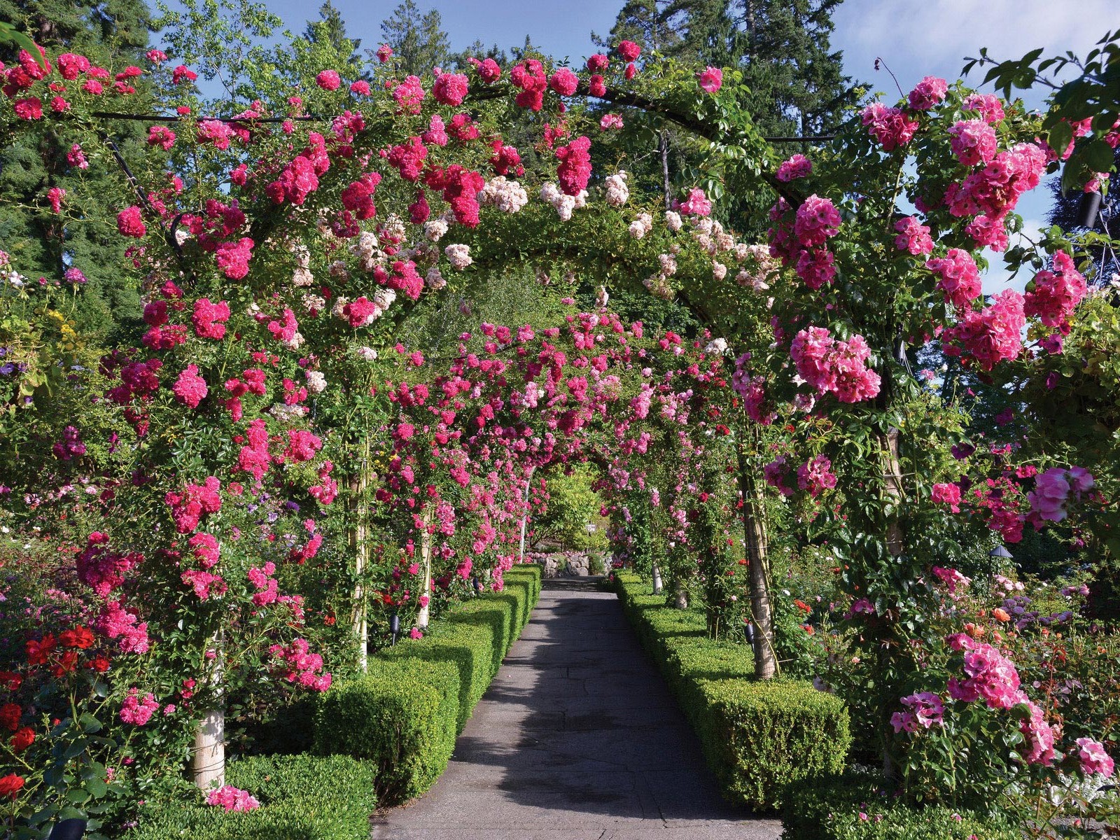 The Butchart Gardens