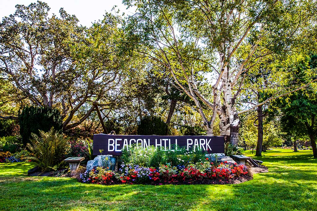 Boasting a variety of vibrant plants and an amazing assortment of wildlife, Beacon Hill Park is stunning any time of year. Credit: Tourism Victoria