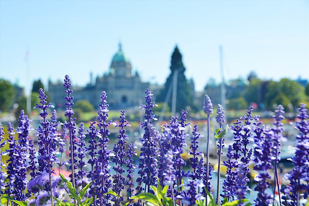 places to visit victoria in spring