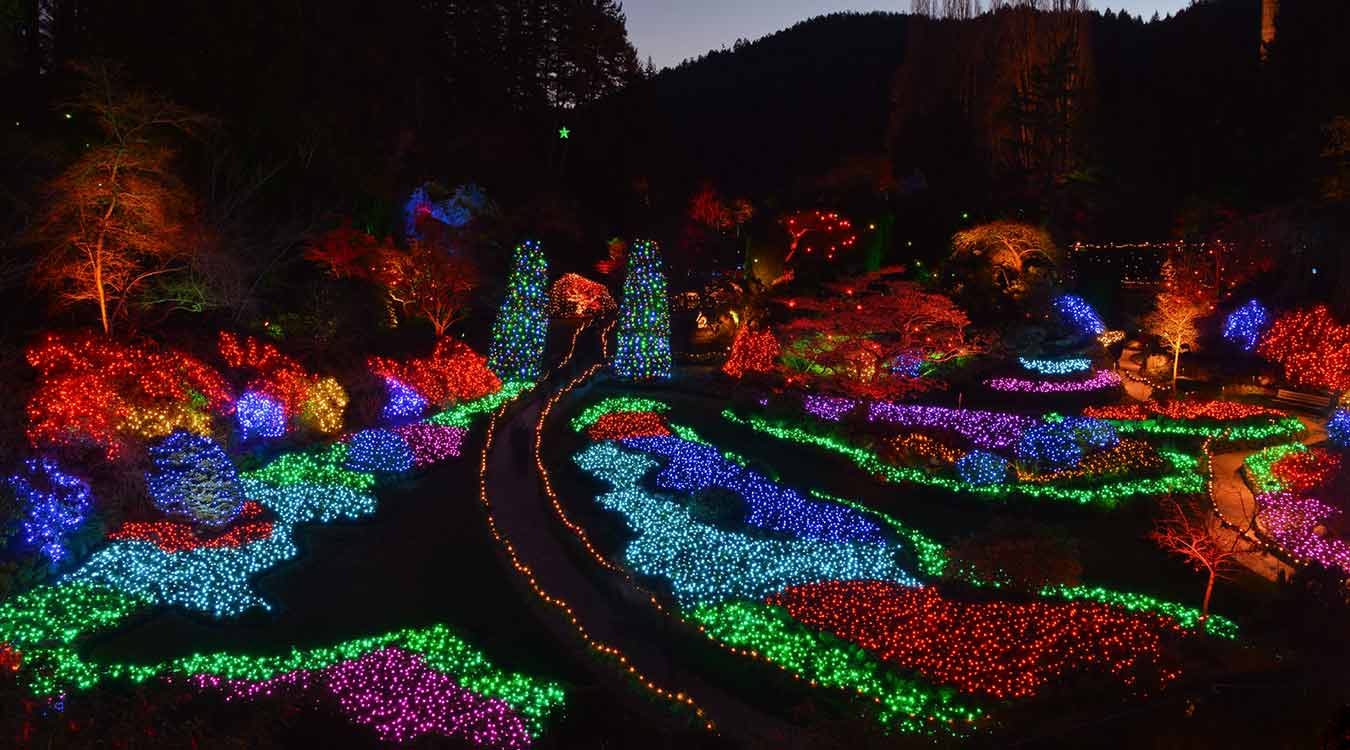 Christmas at The Butchart Gardens Guide | Clipper Magazine