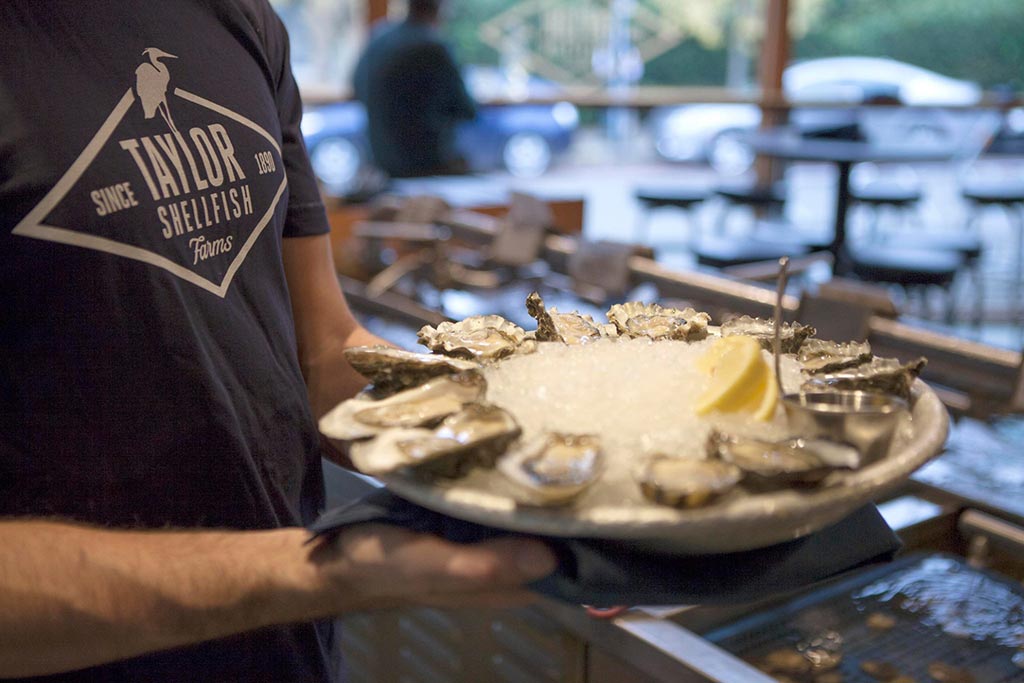 Oysters are always straight-from-the-sea fresh at Taylor Shellfish Farms Oyster Bar. Credit: Taylor Shellfish Farms