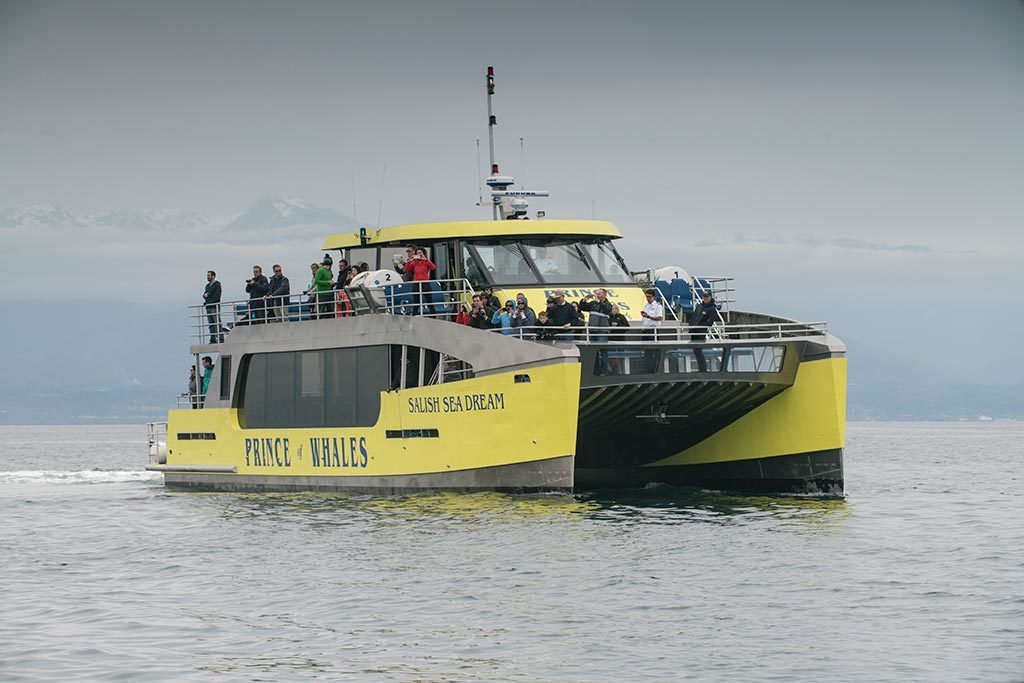 Soak in stunning vistas and wildlife as you cruise through the Strait of Georgia. Credit: Prince of Whales