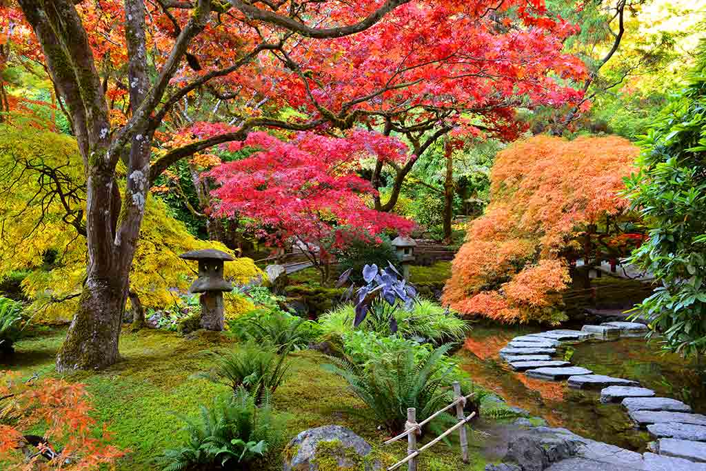 Best Time To Visit Butchart Gardens | Fasci Garden