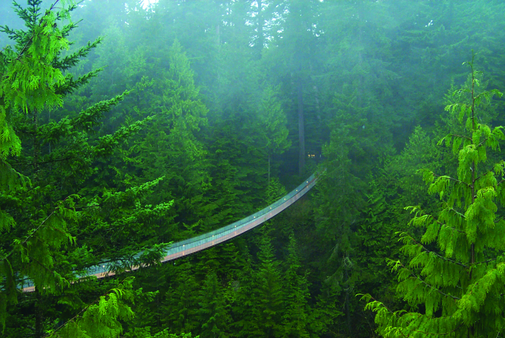 Мост Капилано в Capilano Suspension Bridge Park