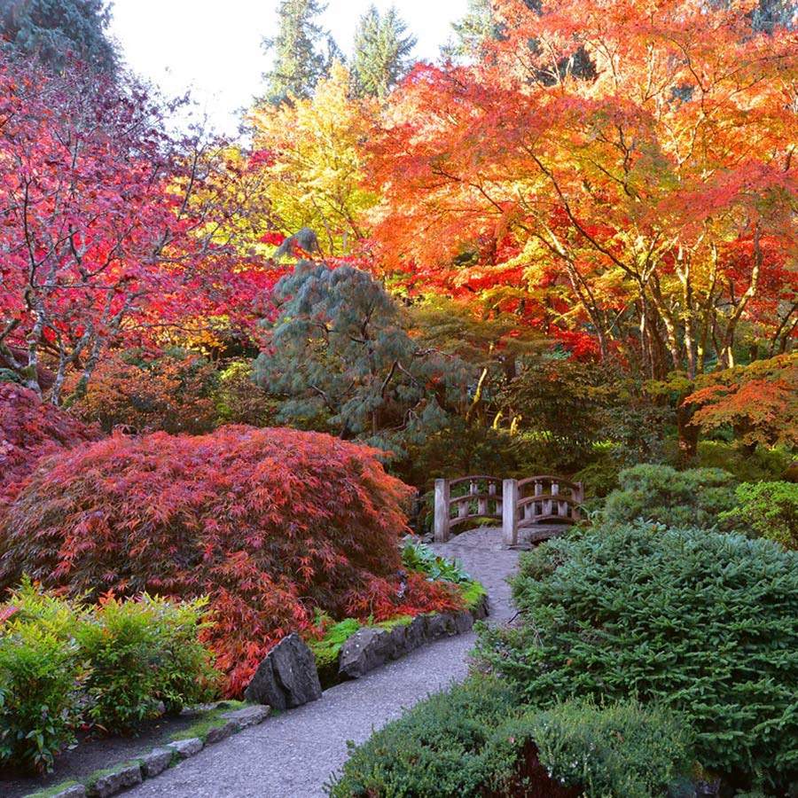 Seattle To Victoria Overnight And Butchart Gardens Tour Clipper Vacations