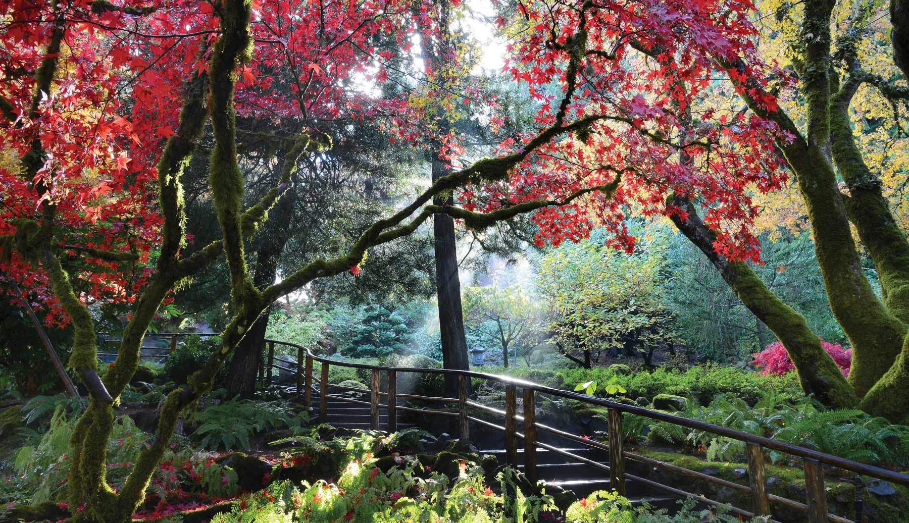 Butchart Gardens Fall Colors