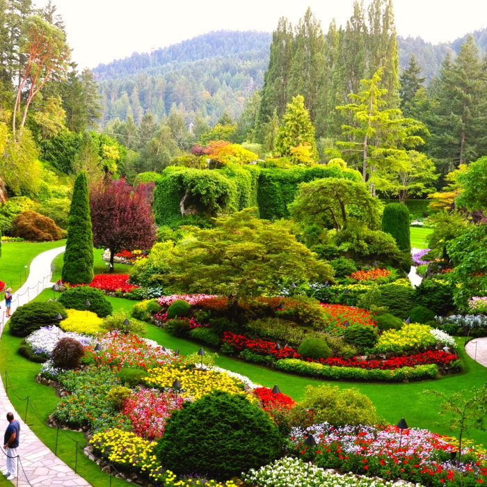 Seattle to Victoria Overnight with Tea at The Butchart Gardens ...