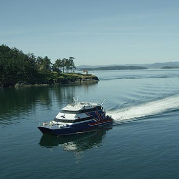 Day Cruise | San Juan Island | Clipper Vacations