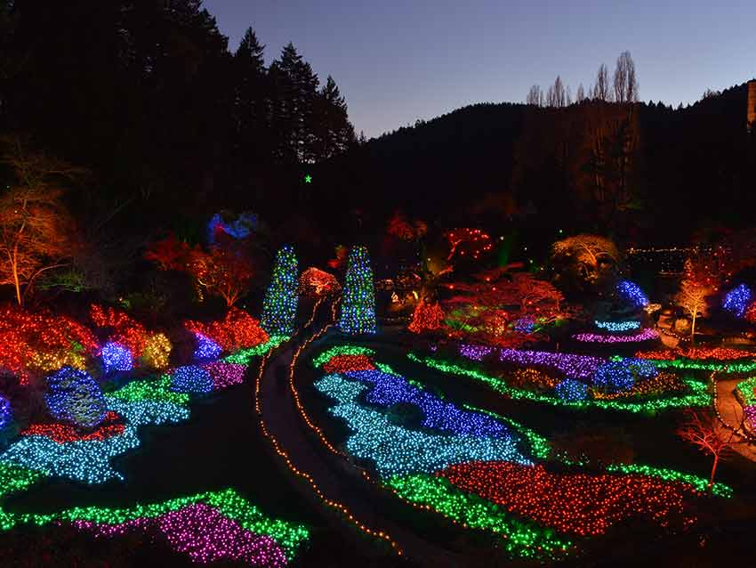 Discover Victoria & Butchart Gardens Holiday Lights