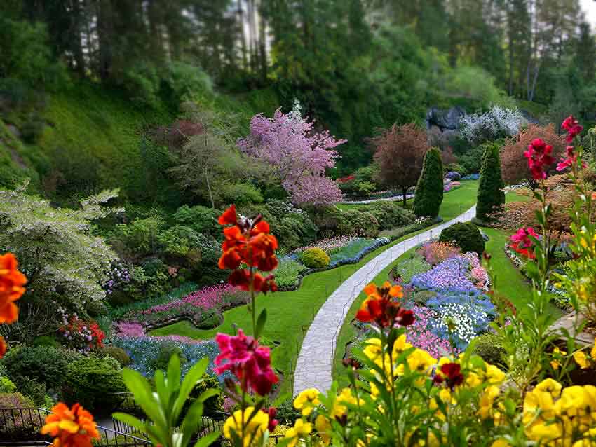 Christmas in Victoria and the Butchart Gardens, Victoria - CANADA