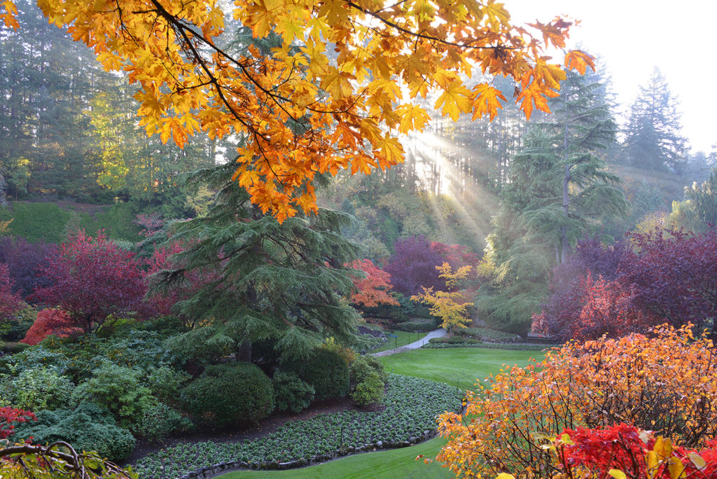 Butchart Gardens Tour and Ferry | Day Trip Packages | Clipper Vacations